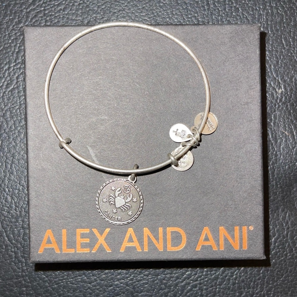 Alex and Ani Rafaelian Silver Zodiac Charm bracelet